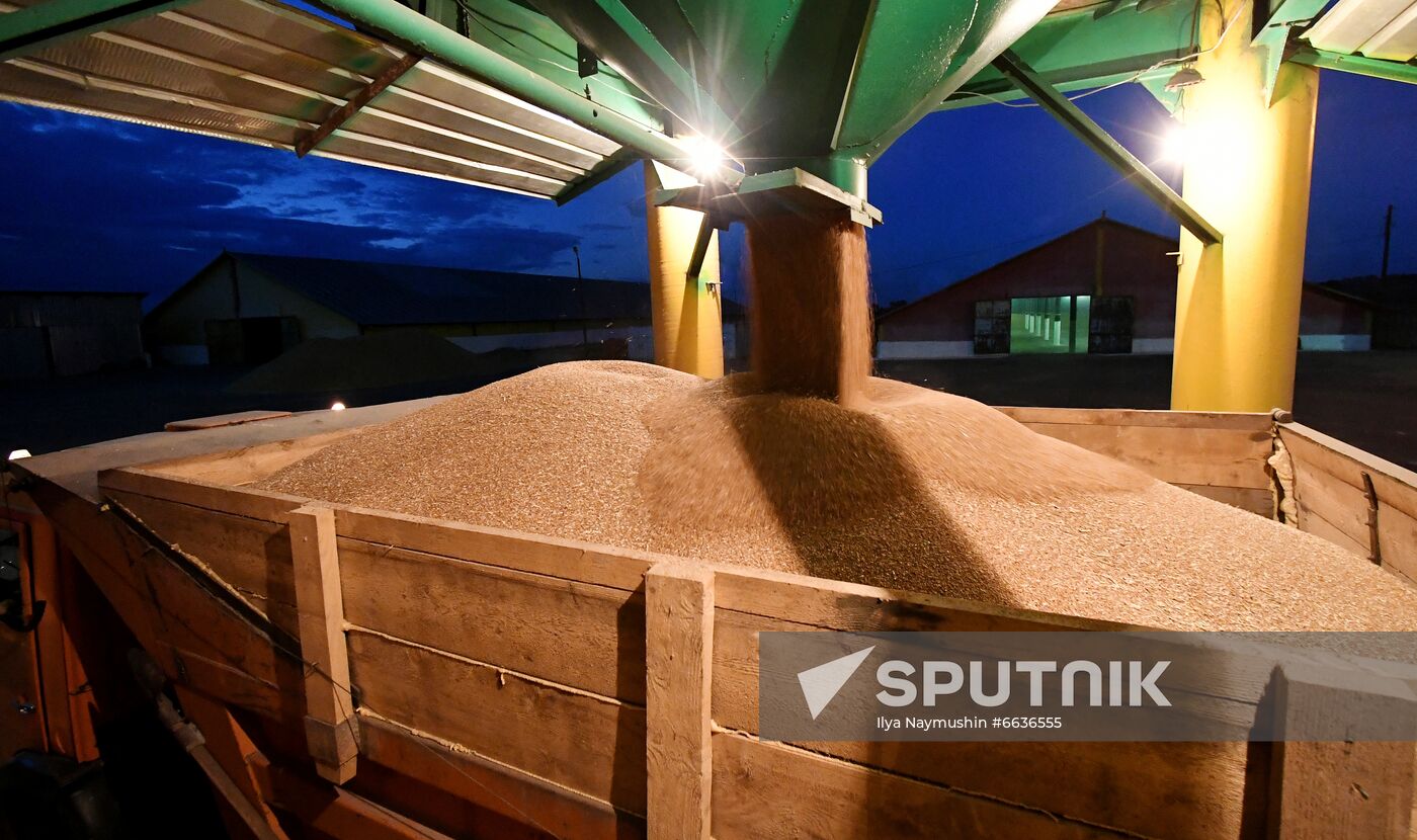 Russia Agriculture Cereals Harvesting
