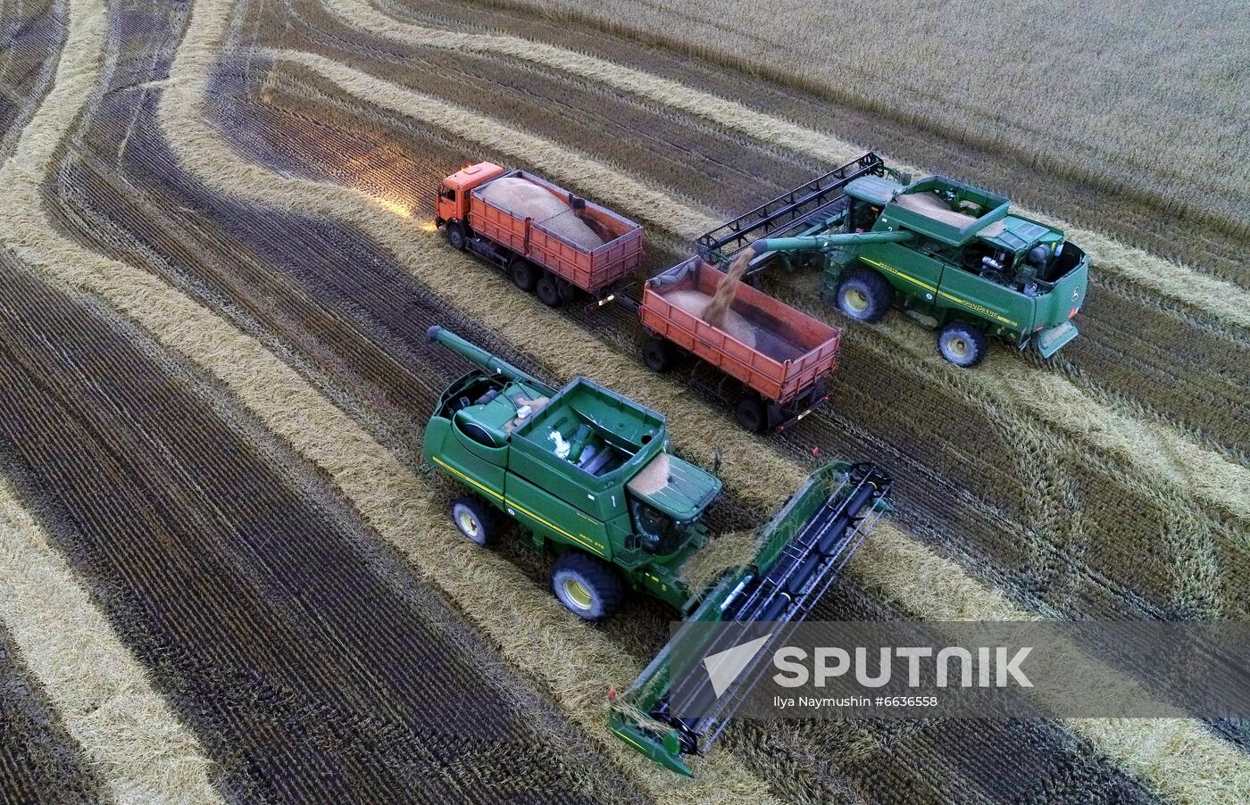 Russia Agriculture Cereals Harvesting