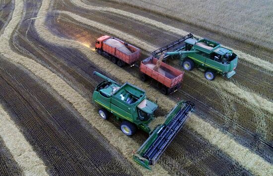 Russia Agriculture Cereals Harvesting