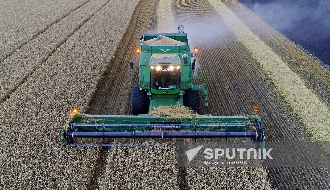 Russia Agriculture Cereals Harvesting