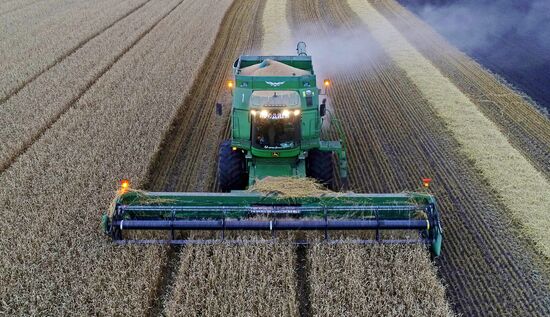Russia Agriculture Cereals Harvesting