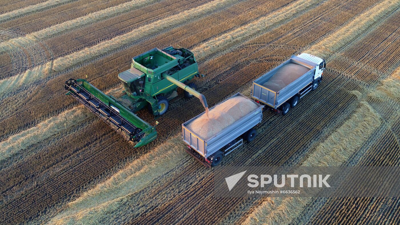 Russia Agriculture Cereals Harvesting