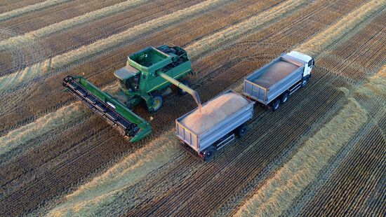 Russia Agriculture Cereals Harvesting