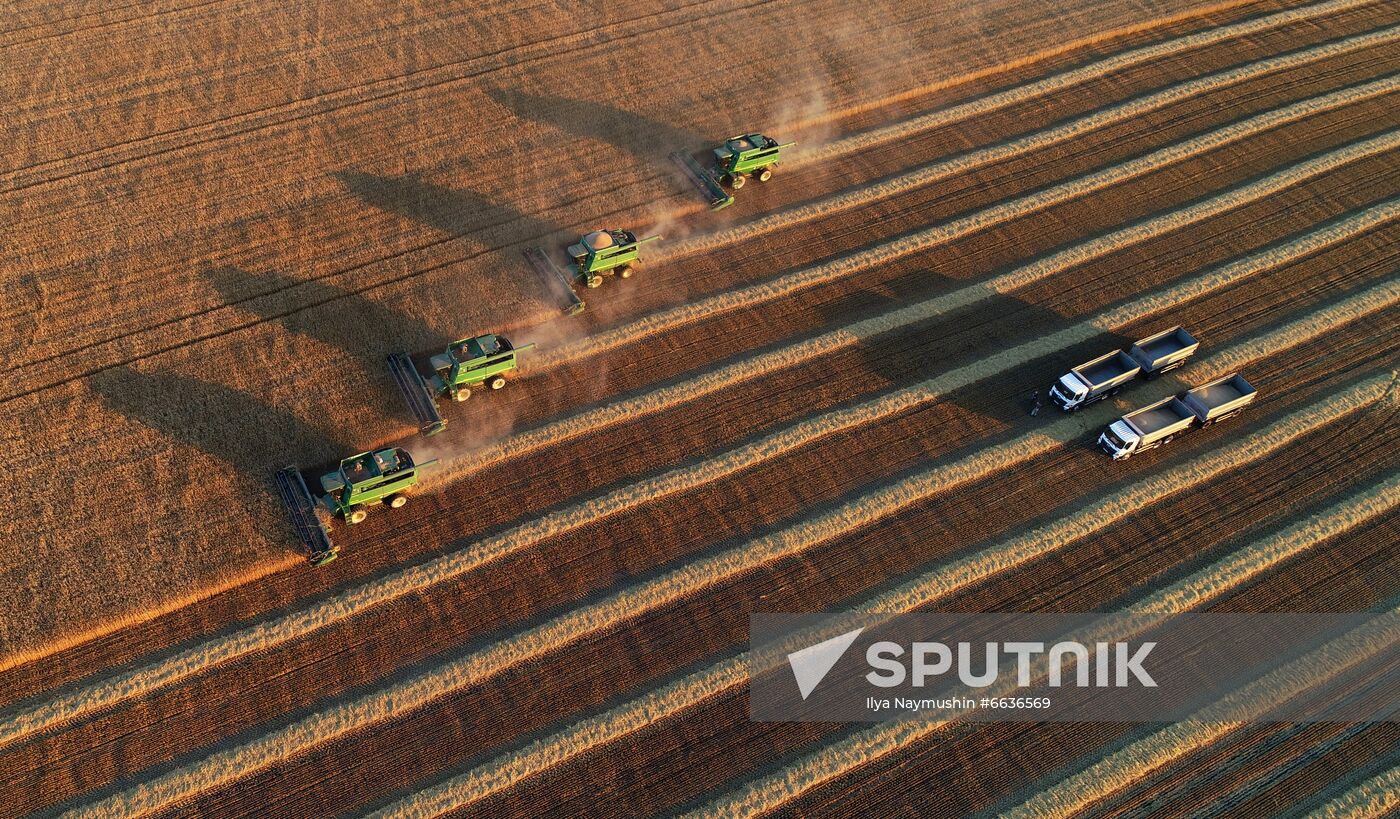 Russia Agriculture Cereals Harvesting