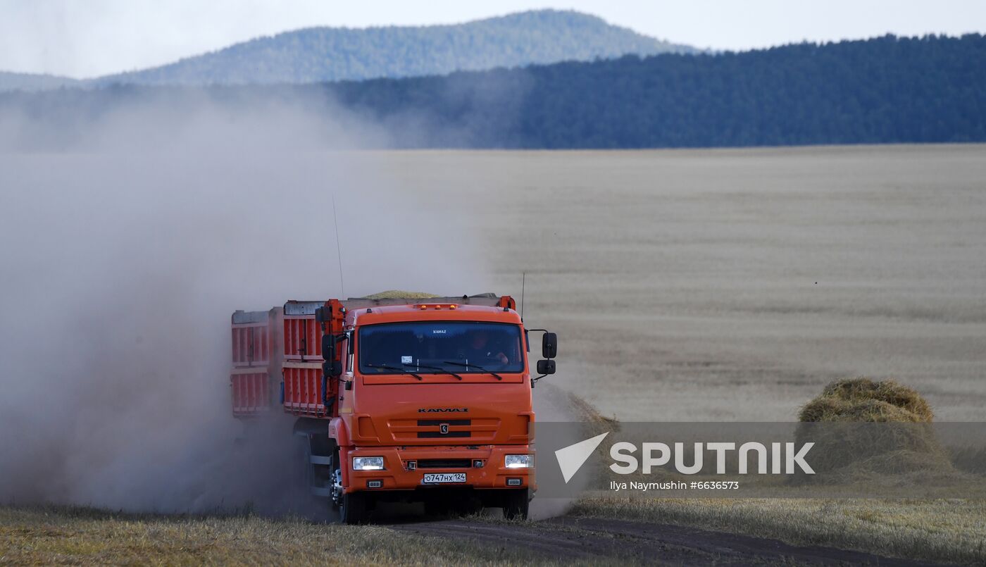 Russia Agriculture Cereals Harvesting