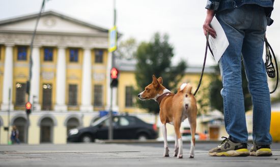 Russia Daily Life