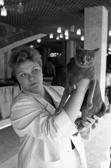 National cat exhibition in Moscow
