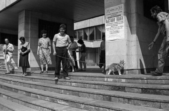 National cat exhibition in Moscow