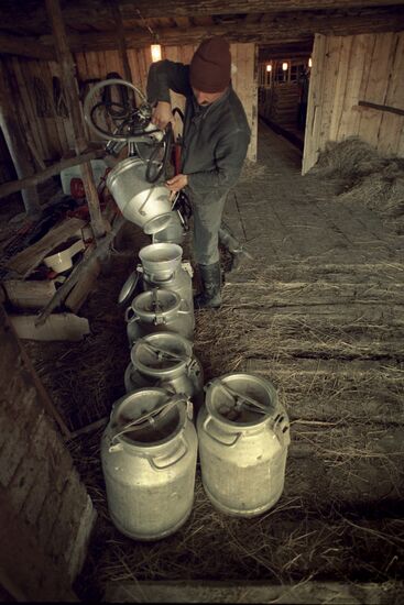 Vladimir Solovei's farm