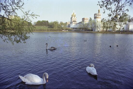 Novodevichy Convent in Moscow