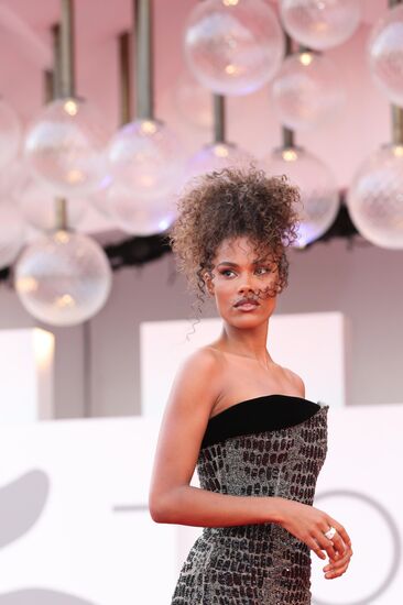 Venice Film Festival