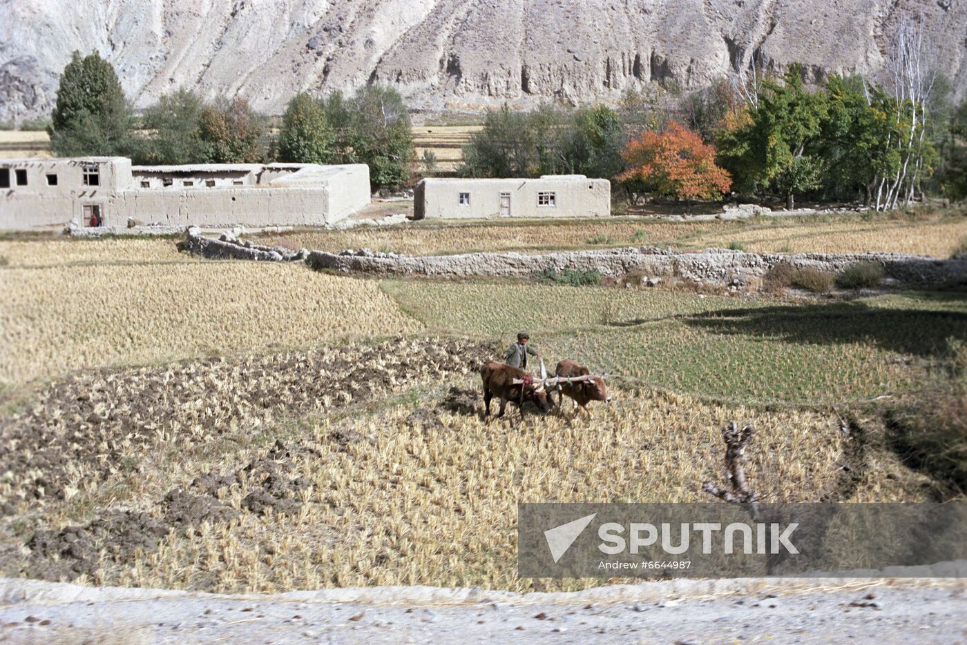 Afghanistan