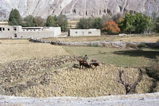 Afghanistan