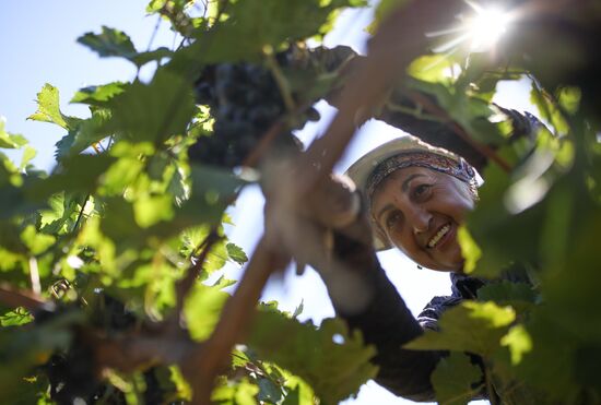 Russia Winery
