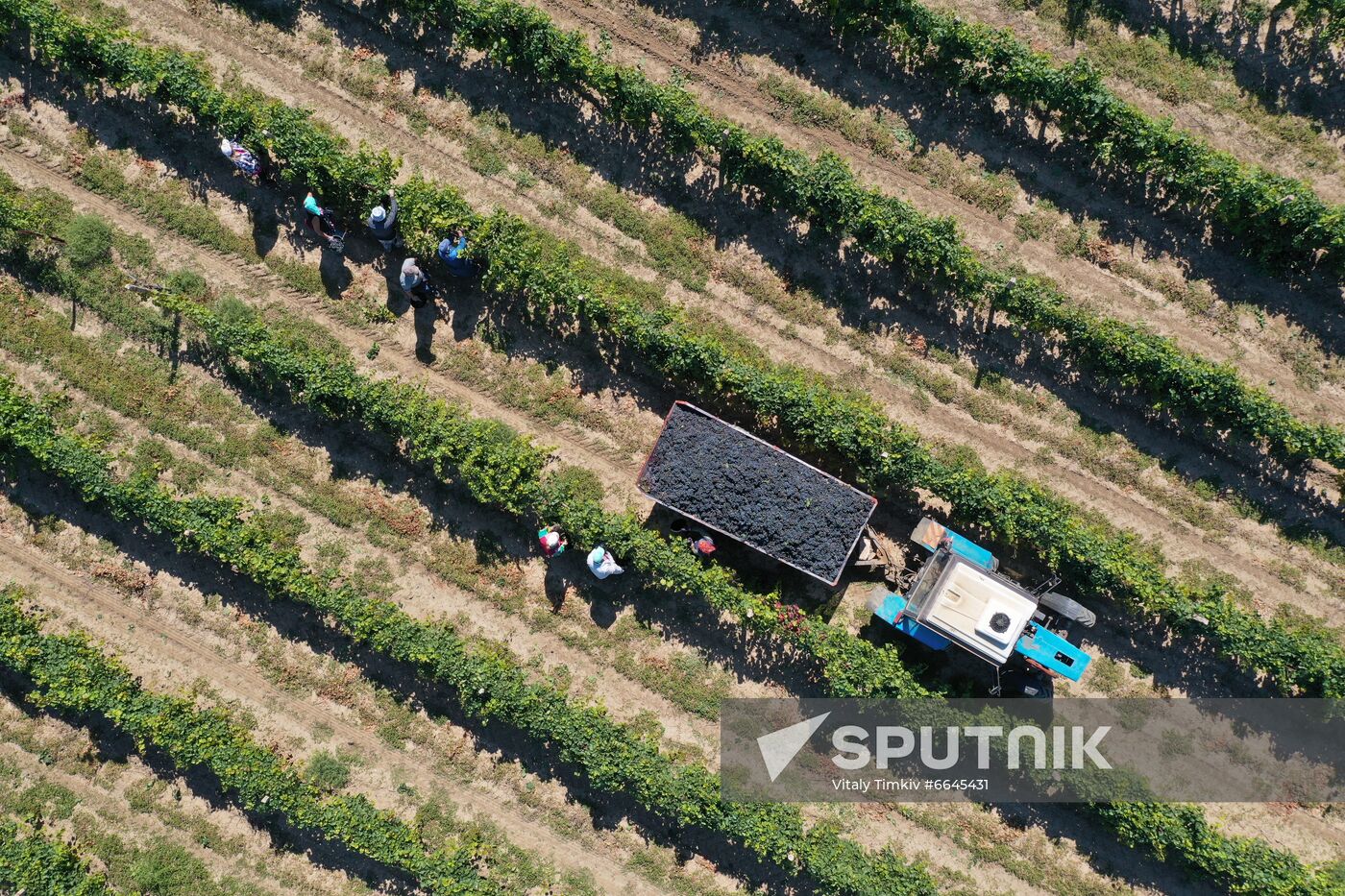 Russia Winery