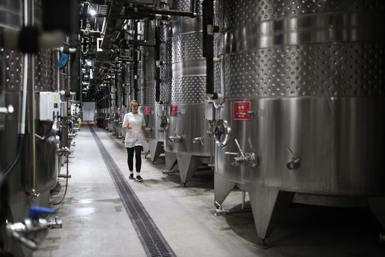 Russia Winery