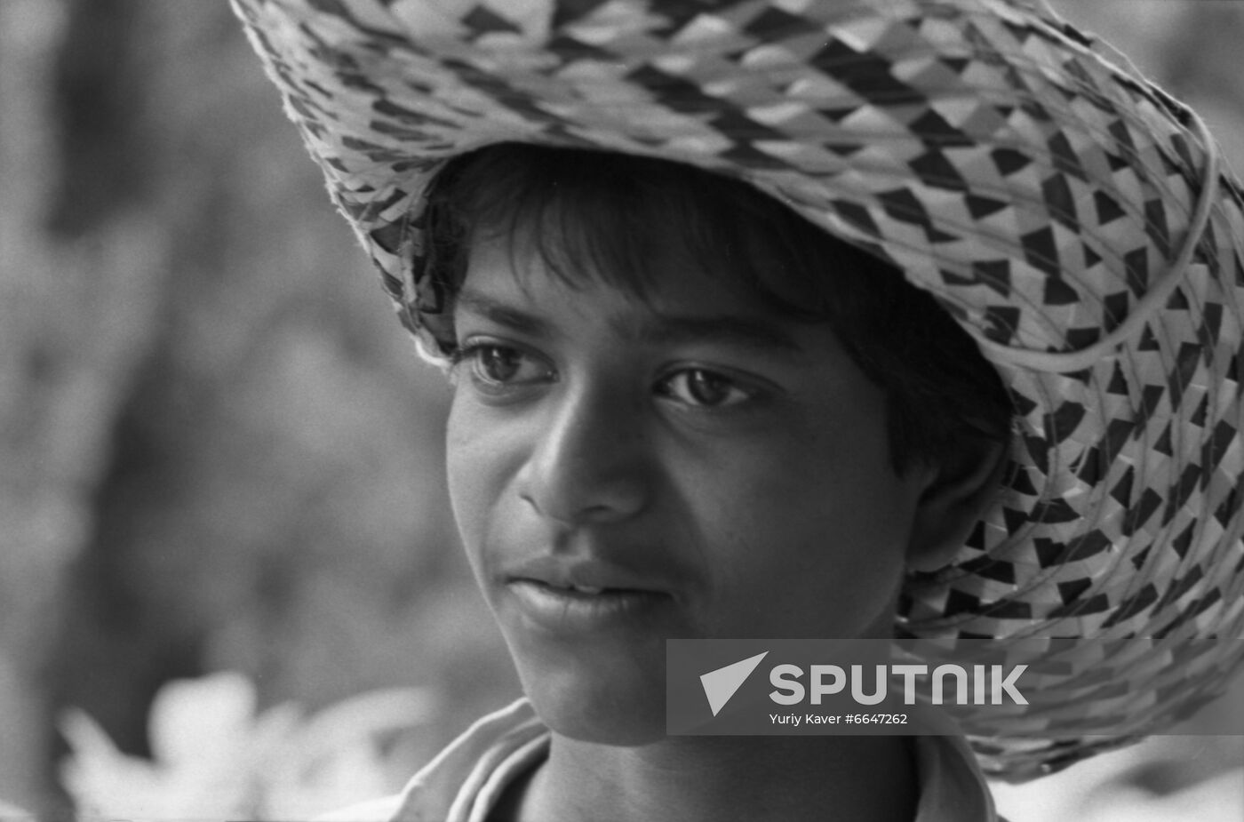 "Artek" All-Union Young Pioneer camp