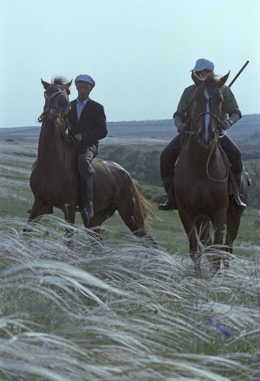 Khomutovskaya Steppe