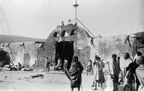 Gate with lions in Addis Ababa