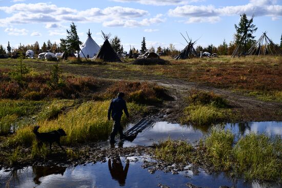 Russia Yamal Peninsula Indigenous People