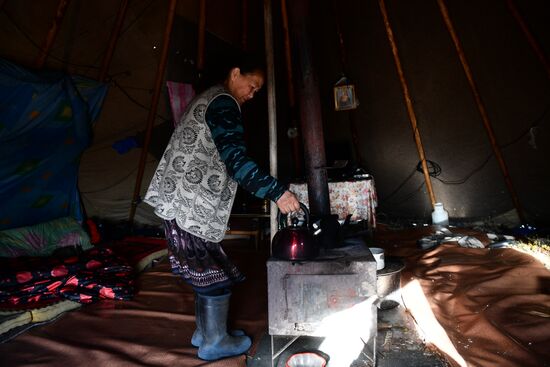 Russia Yamal Peninsula Indigenous People