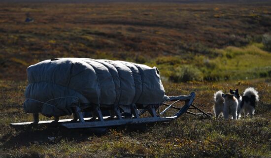 Russia Yamal Peninsula Indigenous People