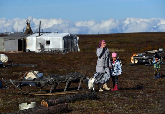 Russia Yamal Peninsula Indigenous People