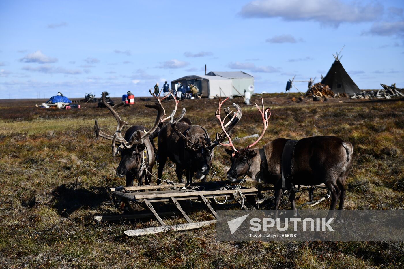 Russia Yamal Peninsula Indigenous People