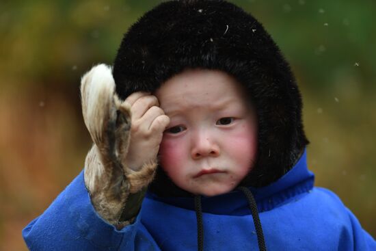 Russia Yamal Peninsula Indigenous People
