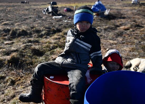 Russia Yamal Peninsula Indigenous People