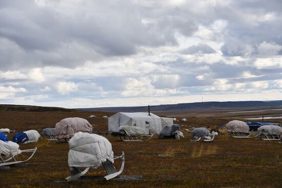 Russia Yamal Peninsula Indigenous People