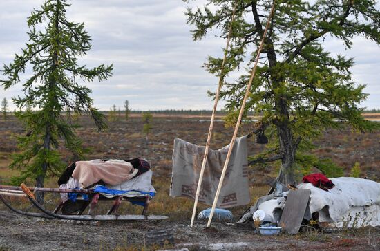 Russia Yamal Peninsula Indigenous People