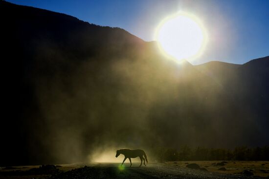 Russia Regions Altay Tourism