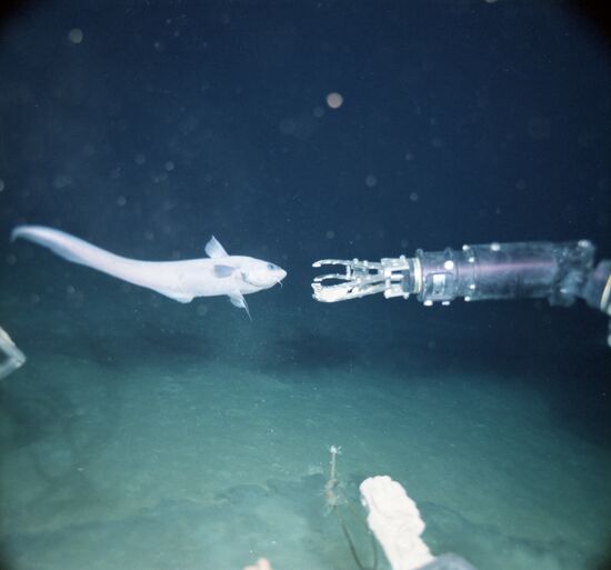 Expedition of Shirshov Oceaonology Institute