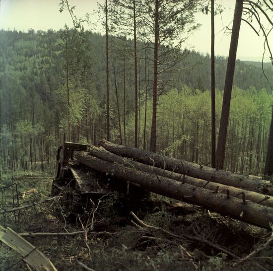 Procuring timber in Buryat ASSR