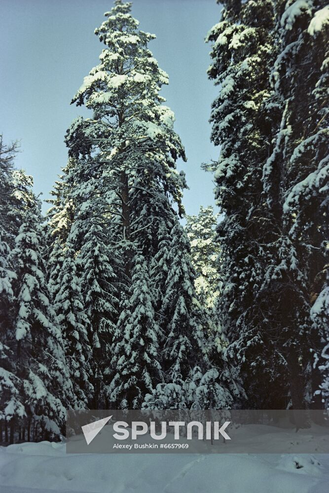 Muromsky Game Reserve in Vladimir Region