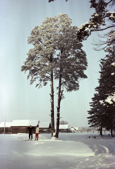Winter outside Moscow