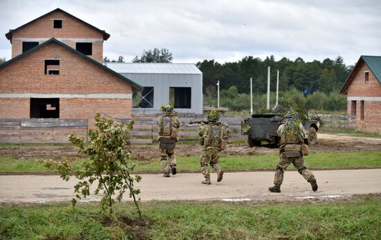 Ukraine NATO Military Exercises