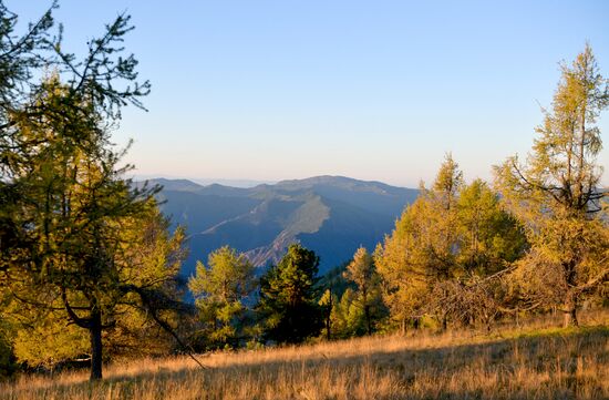 Russia Putin Leisure