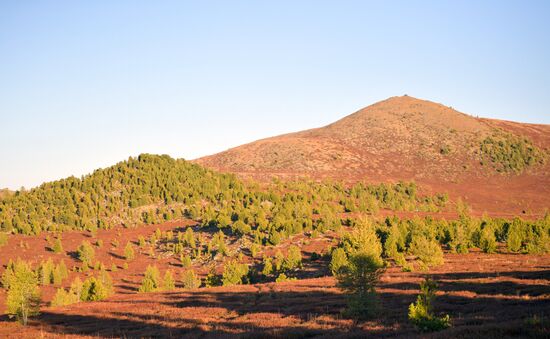 Russia Putin Leisure