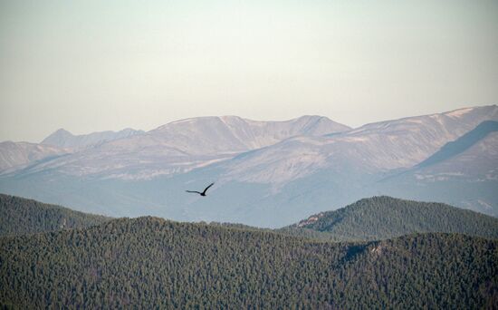 Russia Putin Leisure