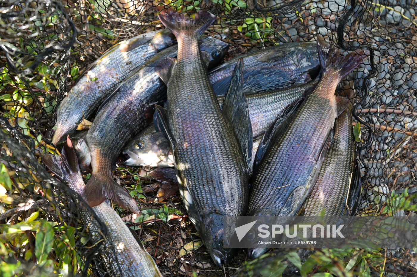 Russia Putin Leisure