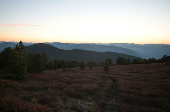 Russia Putin Leisure