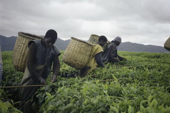 Republic of Burundi