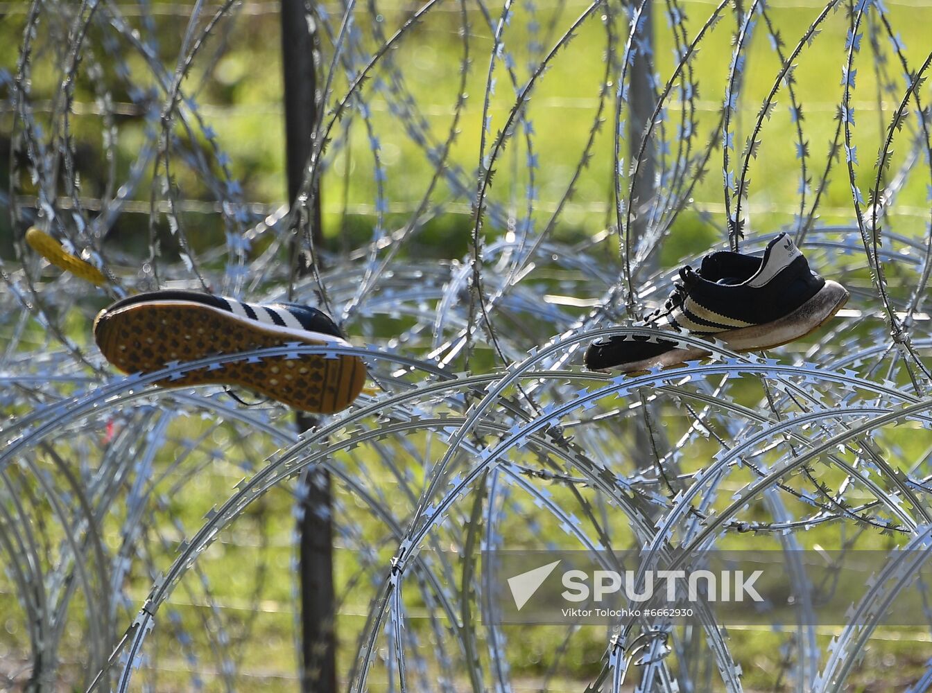 Belarus Poland Border Refugees