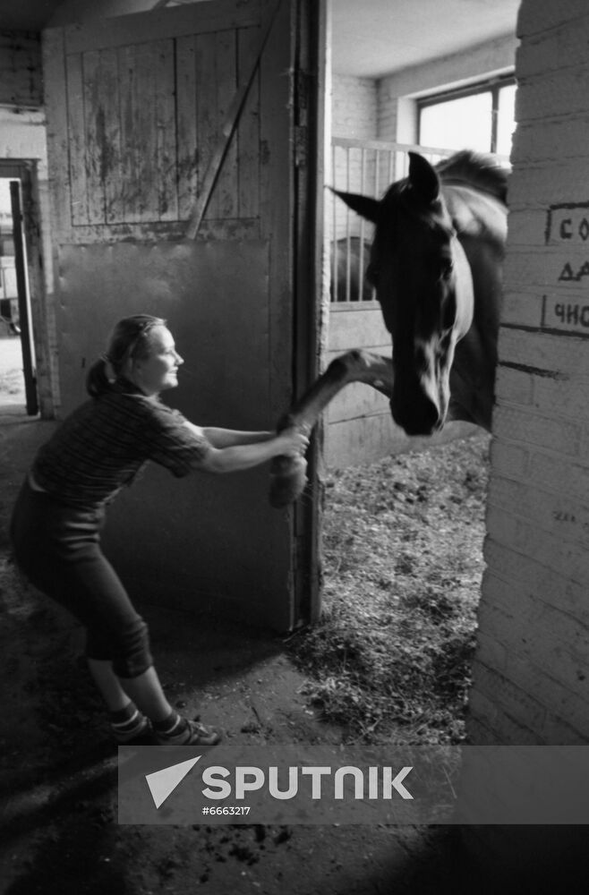 Horse breeder L. Ustinova