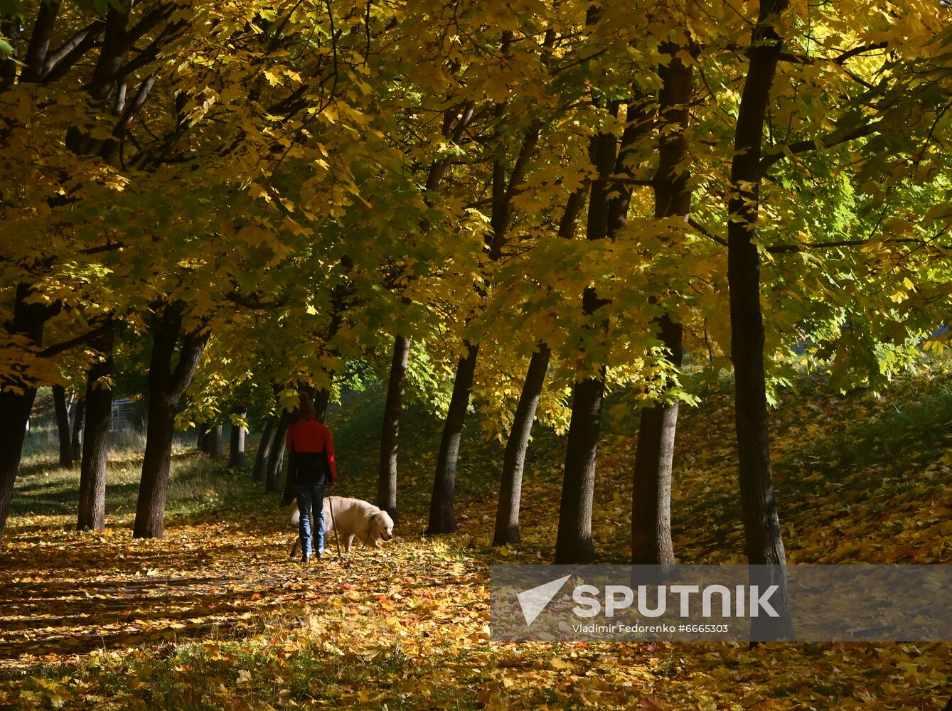 Russia Autumn