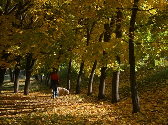 Russia Autumn