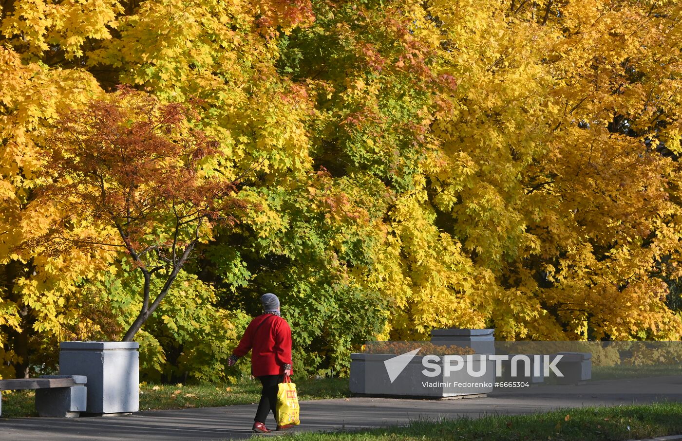 Russia Autumn