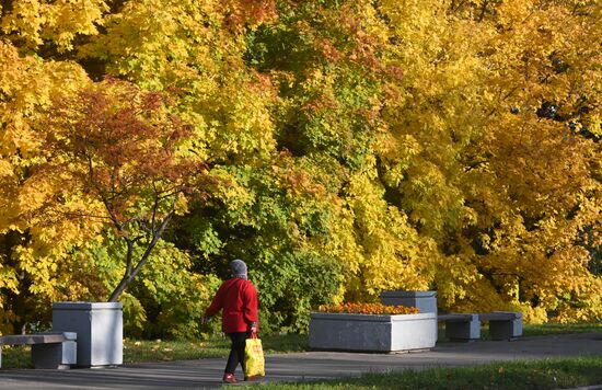Russia Autumn